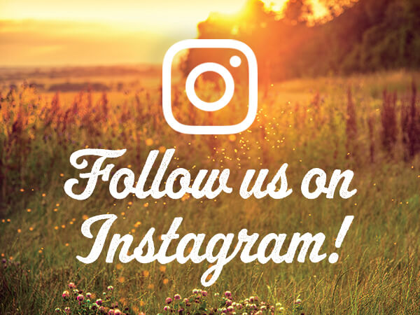 Follow us on Instagram!