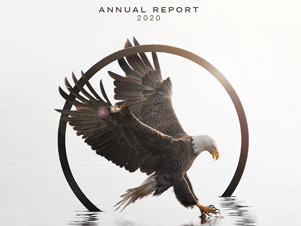2020 Annual Report Cover Image - Real eagle in logo