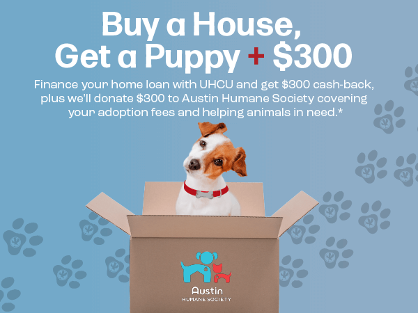 Photo of puppy in a box to symbolize moving into a new home and getting a new puppy
