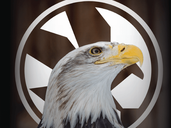 2022 Annual Report Cover Image - Eagle with Logo
